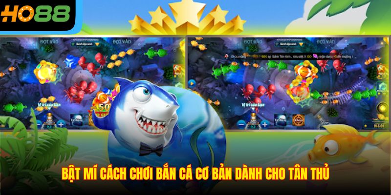 Bật mí cách chơi bắn cá cơ bản dành cho tân thủ