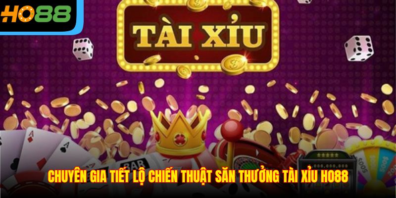 Chuyên gia tiết lộ chiến thuật săn thưởng Tài Xỉu Ho88
