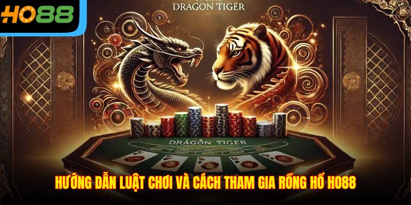 Hướng dẫn luật chơi và cách tham gia Rồng Hổ Ho88