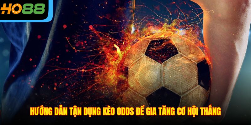 Hướng dẫn tận dụng kèo Odds để gia tăng cơ hội thắng