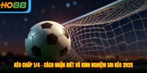 Kèo Chấp 1/4 - Cách Nhận Biết Và Kinh Nghiệm Soi Kèo 2025