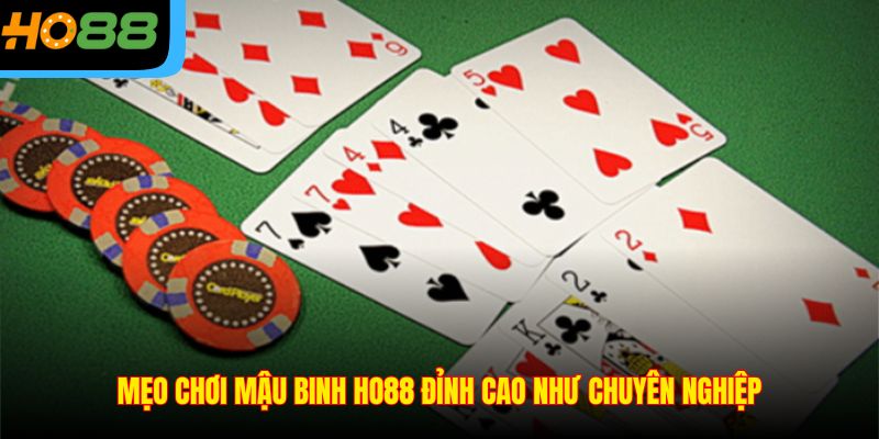 Mẹo chơi Mậu Binh Ho88 đỉnh cao như chuyên nghiệp