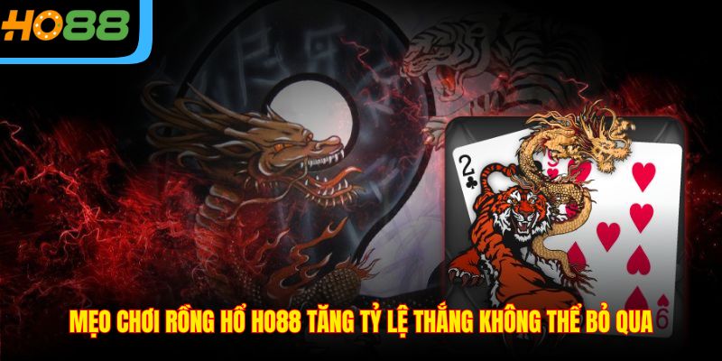 Mẹo chơi Rồng Hổ Ho88 tăng tỷ lệ thắng không thể bỏ qua