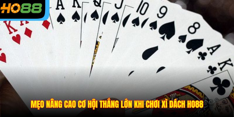 Mẹo nâng cao cơ hội thắng lớn khi chơi xì dách Ho88