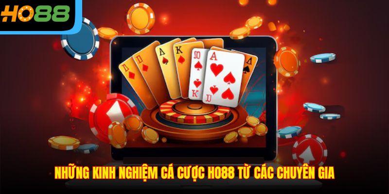 Những kinh nghiệm cá cược Ho88 từ các chuyên gia