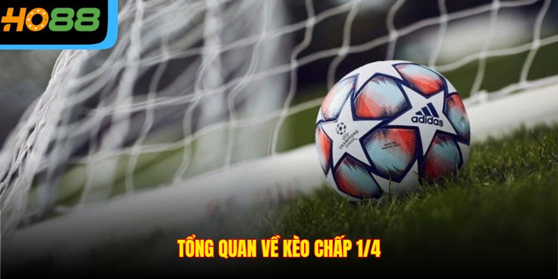 Tổng quan về kèo chấp 1/4