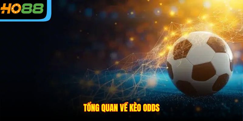 Tổng quan về kèo Odds