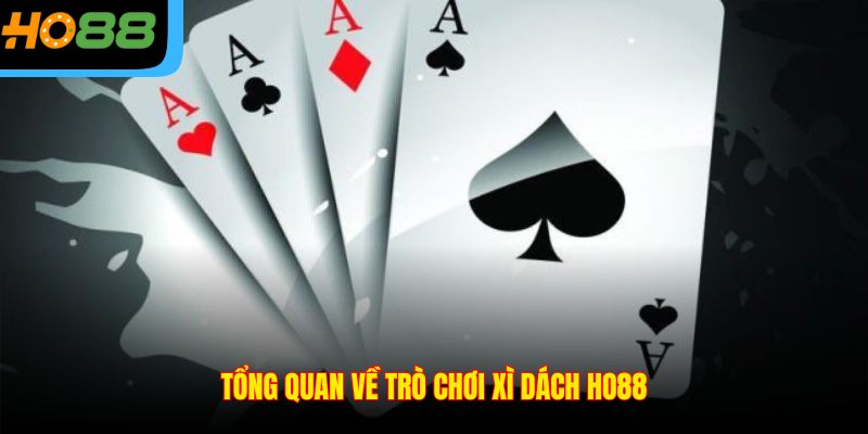Tổng quan về trò chơi Xì Dách Ho88