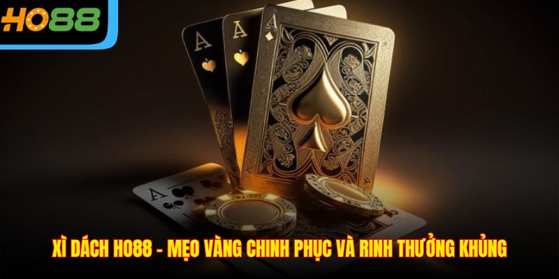 Xì Dách Ho88 – Mẹo Vàng Chinh Phục Và Rinh Thưởng Khủng